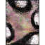 Woven Texture 3 Print by Kent Wilcoxson Jordan