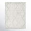 Ammil Hand-Knotted Trellis Cream/ Black Area Rug-1633815675