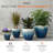 Dianelly Handmade Ceramic Pot Planter-563901276