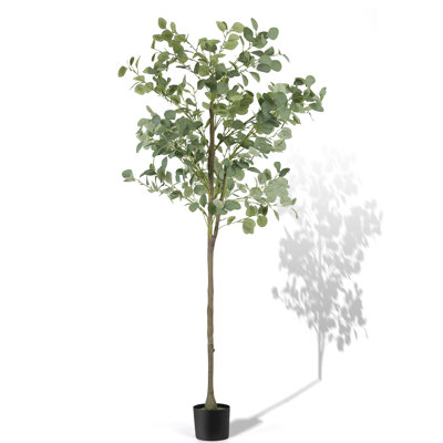 Faux eucalyptus Holzman en pot