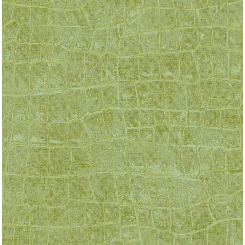 Rouleau de papier peint L 33 pi x l 20,5 po Pevensie, Vert pomme