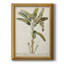 Toile encadrée haut de gamme Banana Palm I - prête à être accrochée-1571925554