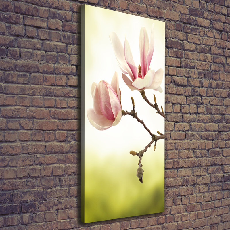Magnolia Flowers - Wrapped Canvas Print