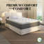 Matelas double à plateau-coussin 14,5 po Dream Flex avec housse CoolTouch et support quad-391841291