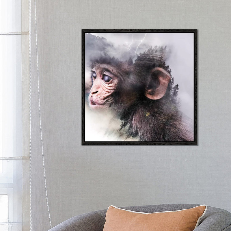 Monkey by Paul Haag - Print on Canvas, Black Framed, 66.04 cm H x 66.04 cm W x 1.91 cm D