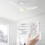 Alcia 52'' Ceiling Fan with LED Lights-2007738425