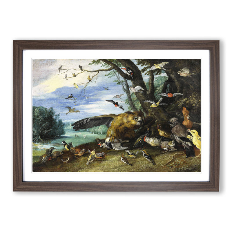 Fighting Birds by Jan Van Kessel - Picture Frame Painting, Walnut Framed, 36cm H x 48cm W x 2cm D