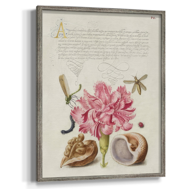 Reproduction encadrée Hoefnagel Tropical Specples VI - bois massif, H 21 po x l 17 po