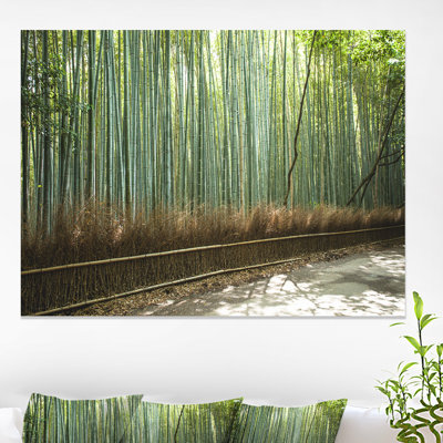 " Beautiful View Of Bamboo Forest "