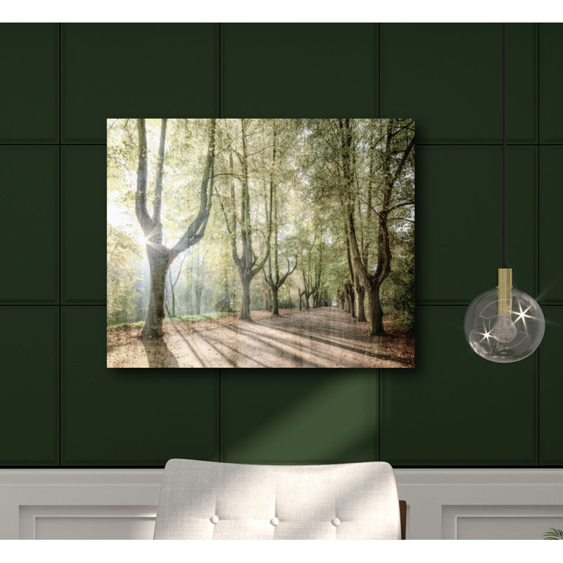 Sunlight Streams-reproduction de photo sur toile tendue, H 20 po x l 24 po x P 1,5 po