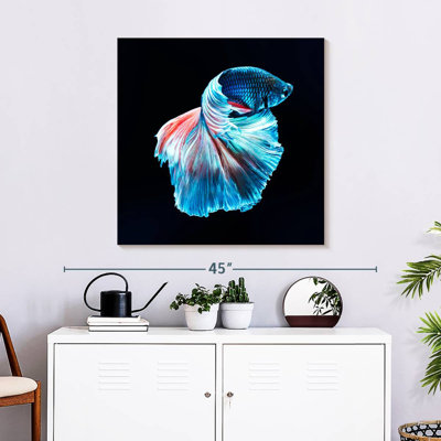 Brampt Glowing Blue Betta Fish