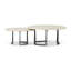 Axtell Marble Nesting Coffee Table