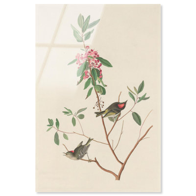 Mountain Mountain Laurel, reproduction d'art acrylique sur toile par Art Remedy