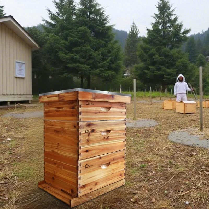 10-Frame Complete Beehive Kit, Wax Coated Bee Hives , Includes 2 Deep Box and 1 Medium Bee Box