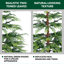 Ensemble de 3 pi de 2 arbres de Noël en pot pré-éclairés, lumières DEL à piles, pot en résine-1969908916