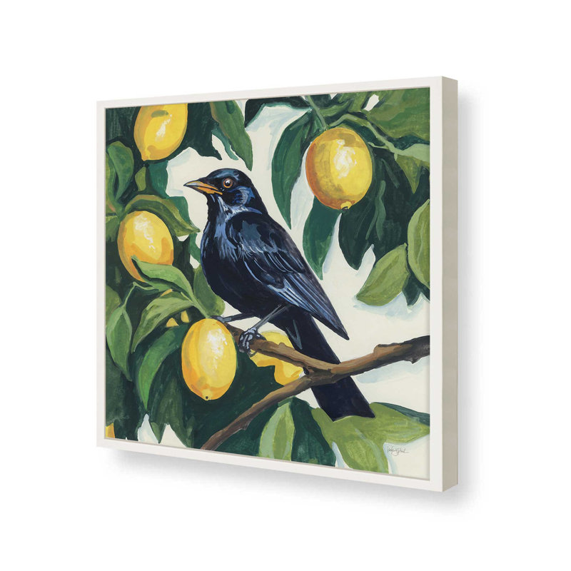 «Bird with Lemon Branch» par Kate Jarvik Birch, reproduction d'art, H 31,5 po x l 31,5 po, Blanc, Impression encadrée