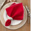 Ivara Cotton Solid Colour Napkin-427895851