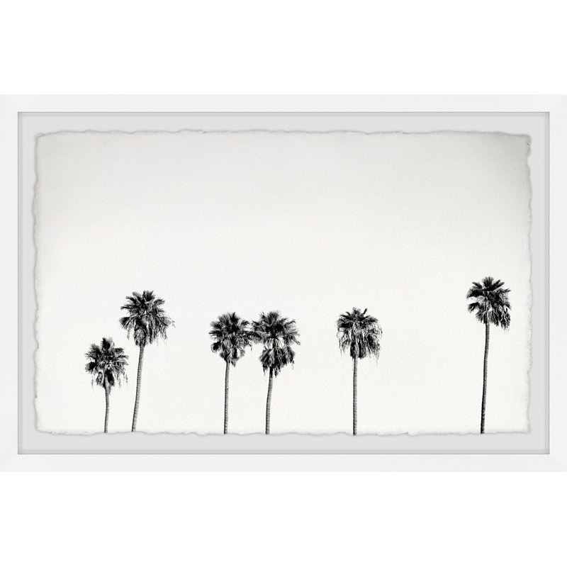 Set Of Palm Trees - Single Picture Frame Print, 20cm H x 30cm W x 3.81cm D