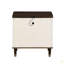 Modern Design 2-Drawers Nightstand With USB Port Durable Wooden Bedroom Furniture 1Pc