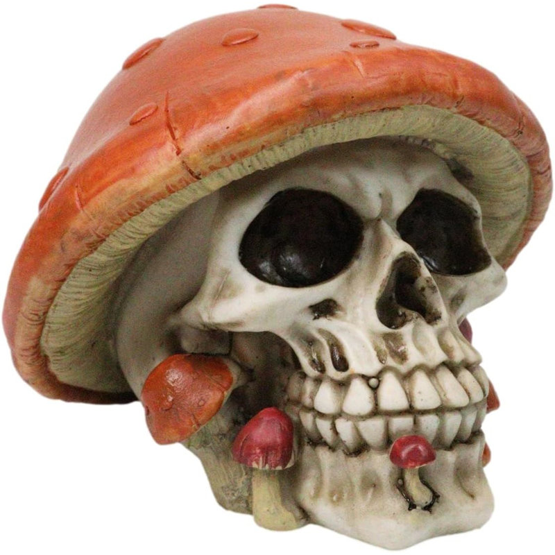Tête de mort en forme de champignon brun avec tête de crâne et mini champignon, Brun