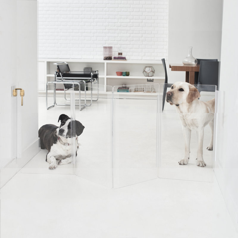 Barrière murale basse pour animaux, Doré, 4 panneaux