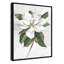 «Pearly Beauty I Print» par Eva Watts-129166350-129166389-129166415