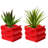 Alexsa Ceramic Pot Planter