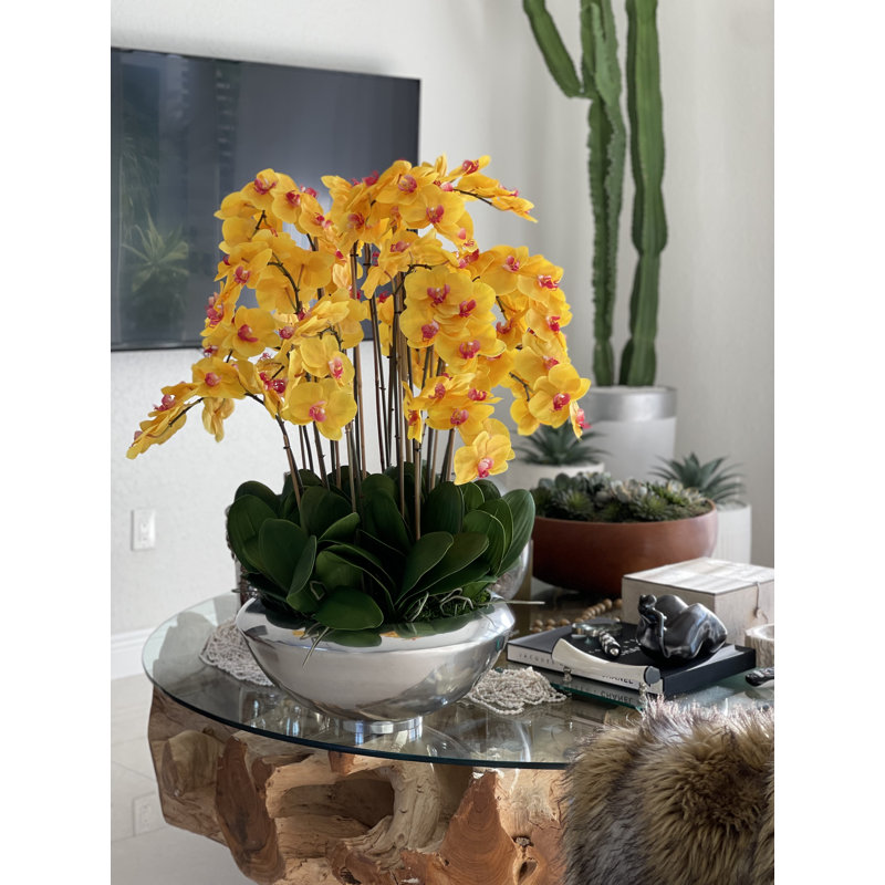 Plusieurs tiges d'orchidée phalaenopsis en pot de fleurs, Orange