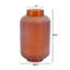 Vase en verre D6.5X10.5 "