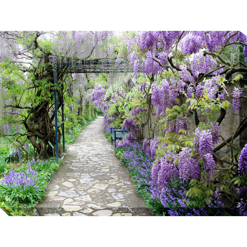 Art sur toile Wisteria Path