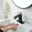 Robinet de salle de bain monotrou à cascade avec ensemble de drain Robinets de lavabo de salle de bain à poignée simple Robinets de lavabo en acier inoxydable avec plateau-122027117