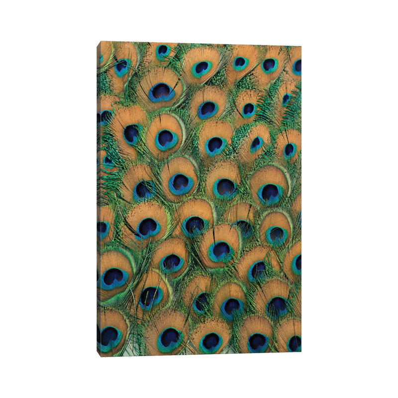Plumes de paon - reproduction d'art mural - toile tendue, 60" x 40", Gallery Wrapped Canvas, No Frame