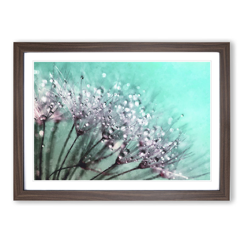 Dandelion Seeds Vol.6 - Picture Frame Graphic Art, 48cm H x 65cm W x 2cm D, Walnut Framed
