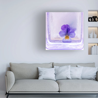 Art sur toile «Bachelor Annicawesterlund»