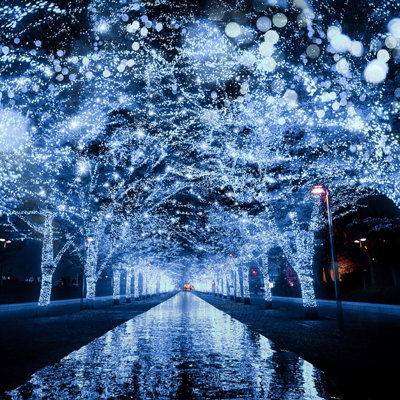 String Lights