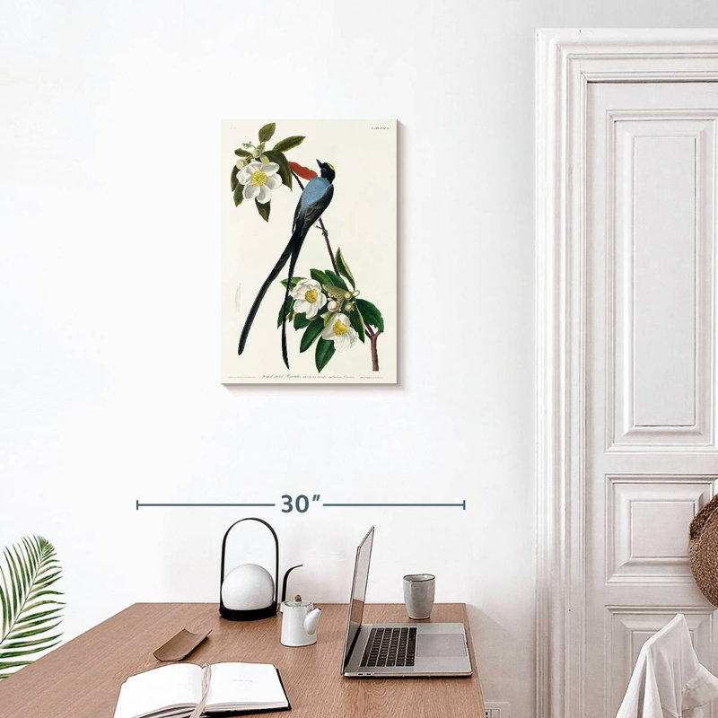 Brampt Fork-Tailed Flycatcher, 24" H x 16" W