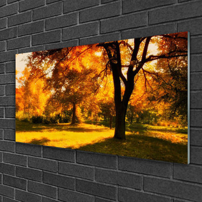 Nature Trees - Unframed Photograph on Glass