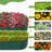 8×4×2FT Interlocking Oval  Galvanized Steel Planting Beds