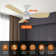 Emidia Standard Ceiling Fan with LED Lights Indoor