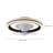 Diany 18.5'' Ceiling Fan with LED Lights