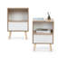 Ensemble de 2 tables de chevet Mid-Century