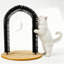 Chat masseur et arche de toilettage