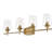Dahlya 4 - Light Dimmable Vanity Light-112679997