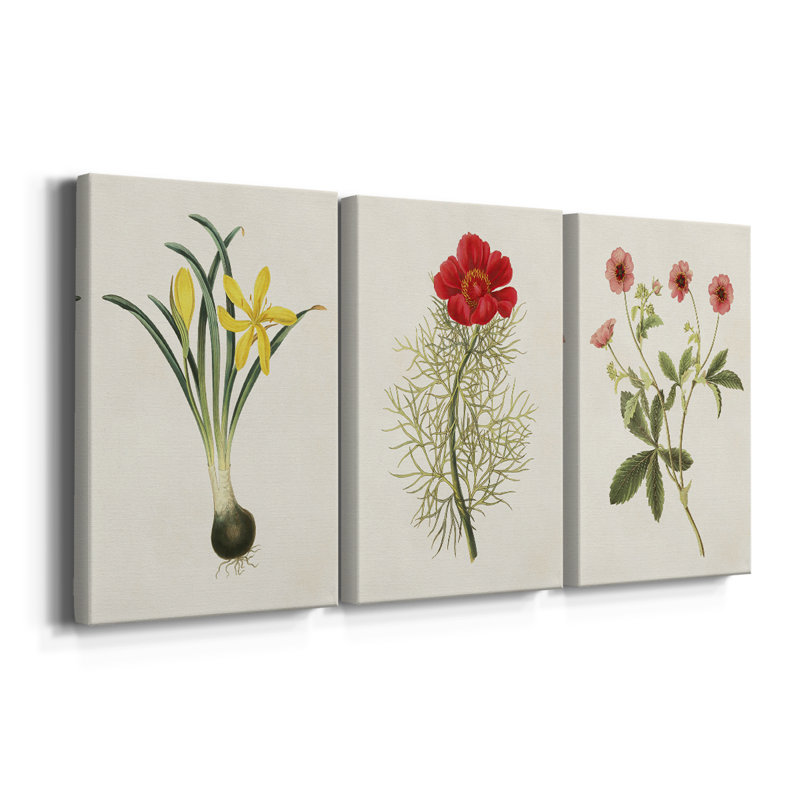 Fleurs des saisons VI - Toile tendue avec châssis sur mesure - 3 pièces, H 36 po x l 72 po