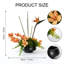 Organic Modern Arrangement Mixed Assortment Arrangement In Pot