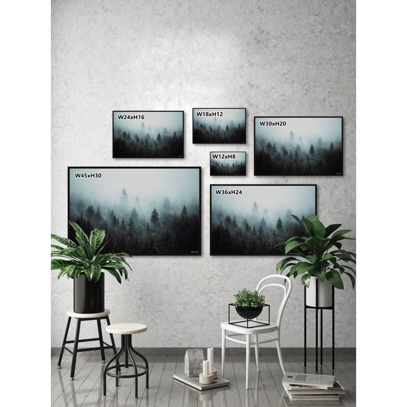 «Foggy Pine Forest» par Marmont Hill, reproduction sur toile, Cadre flottant noir, L 18 po x H 12 po