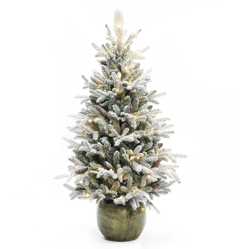 53.9' Lighted Pine Christmas Tree