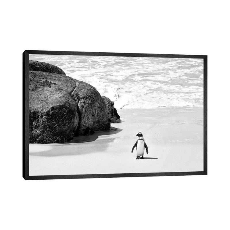 Penguin At Boulders Beach by Philippe Hugonnard - Gallery-Wrapped Canvas Giclée on Canvas, 66.04 cm H x 45.72 cm W