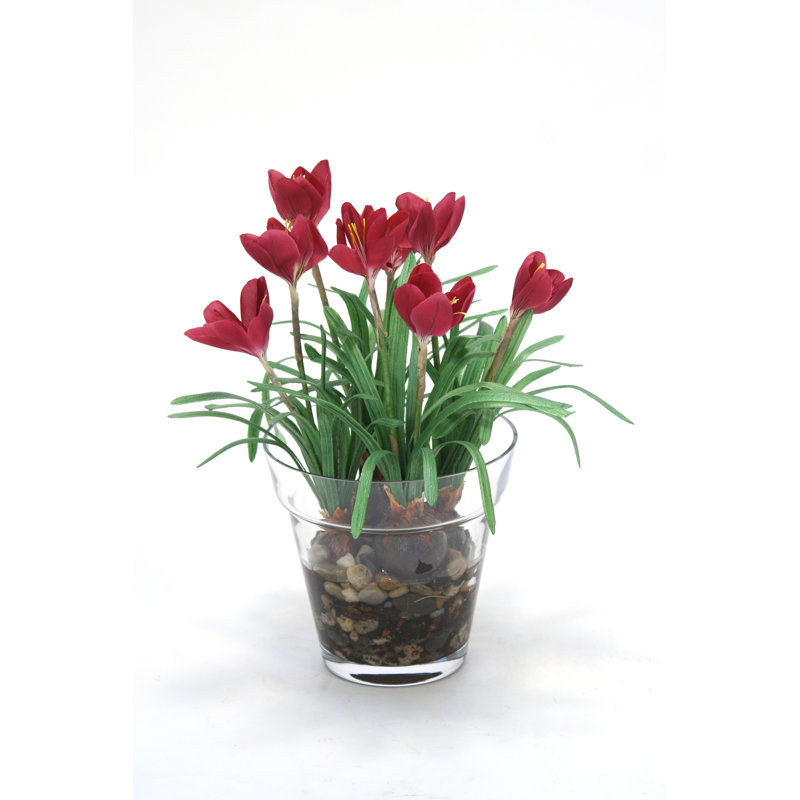 Arrangement floral mauve crocus dans un pot de verre