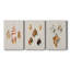 Antique Shells on Linen I - Ensemble de 3 peintures sur toile tendue-19642670